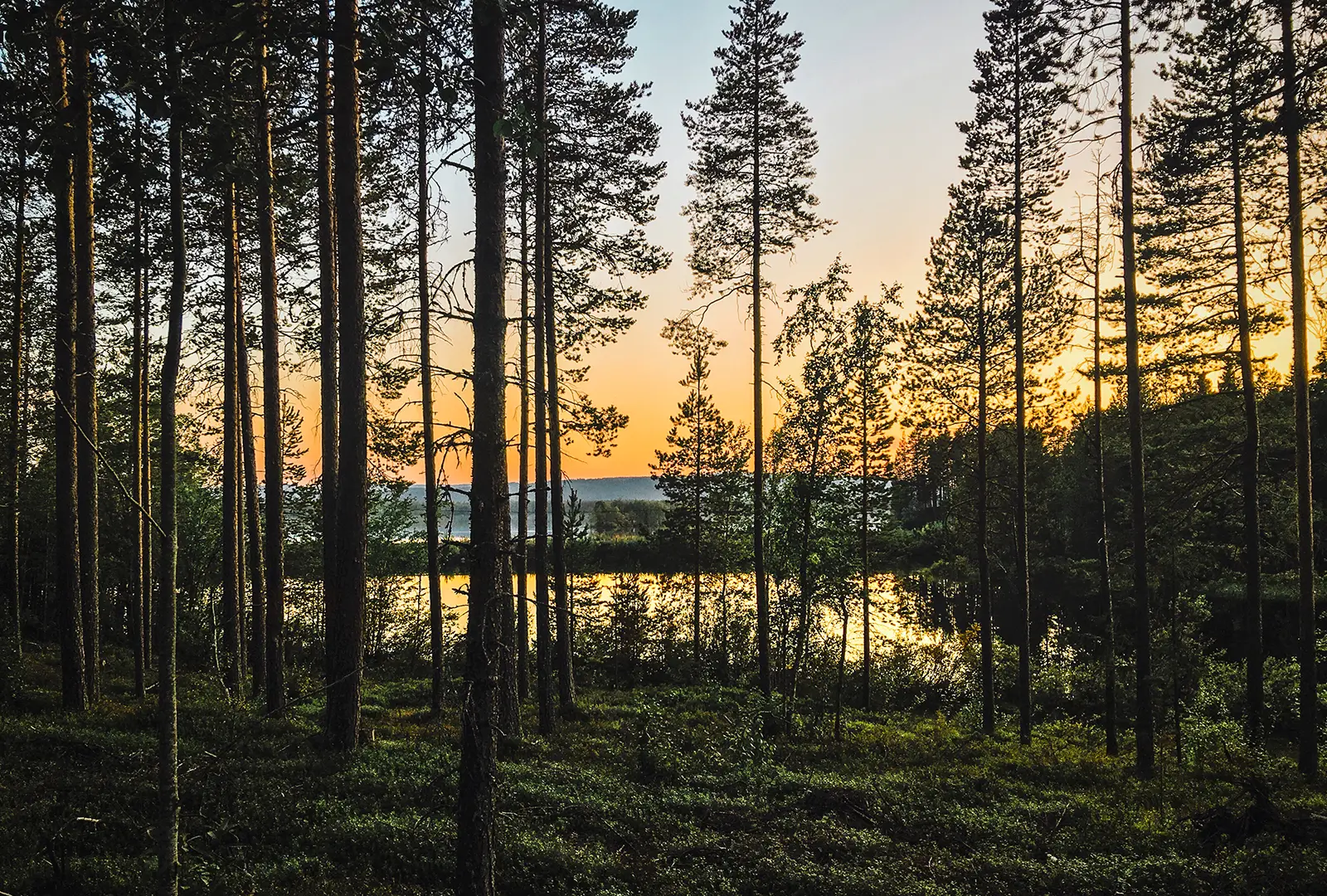 Nature-Nook-Location-03